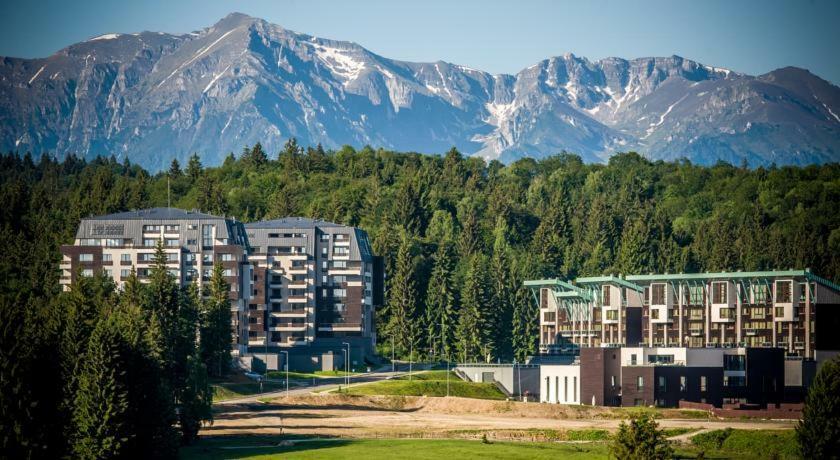 Luxury Mountain Apartment 포이아나브라소프 외부 사진