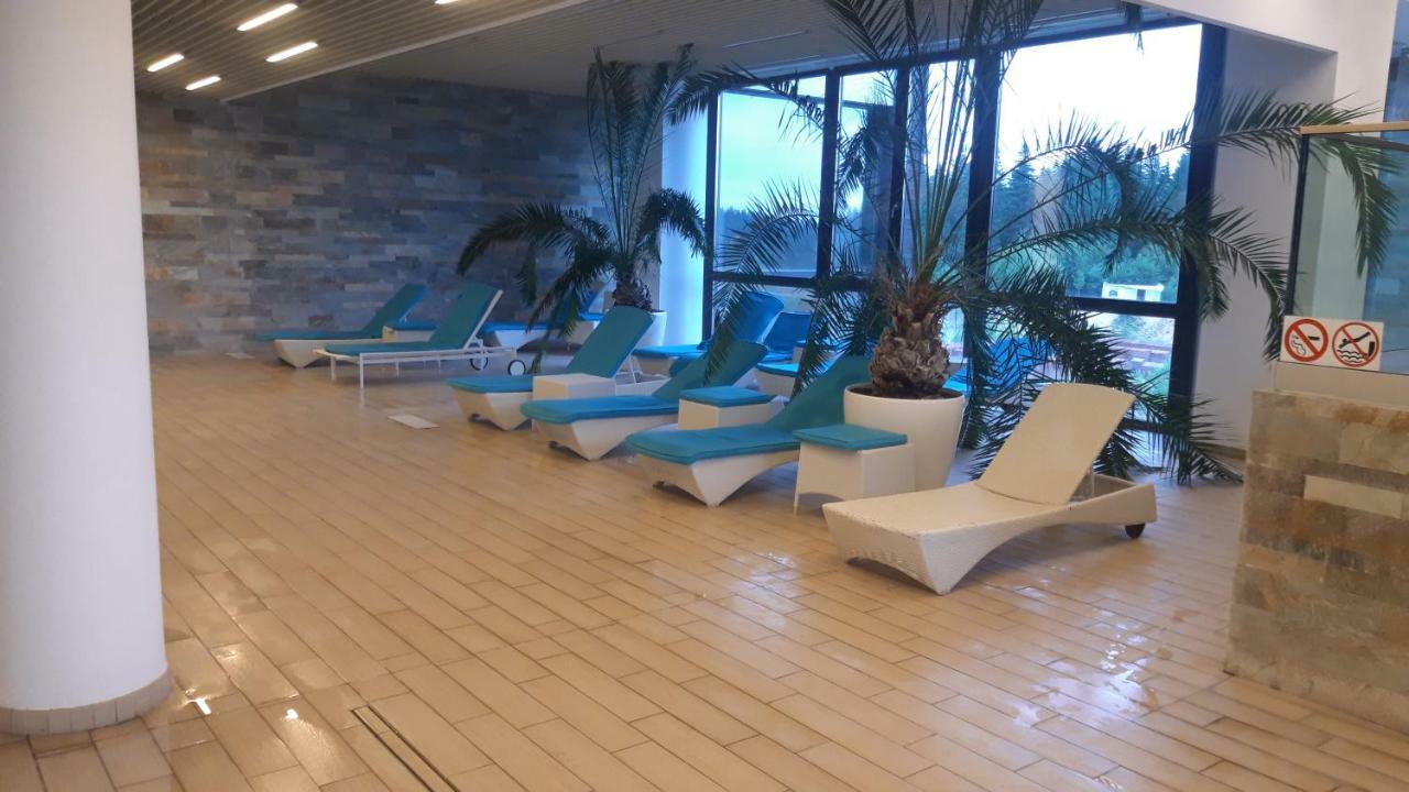 Luxury Mountain Apartment 포이아나브라소프 외부 사진