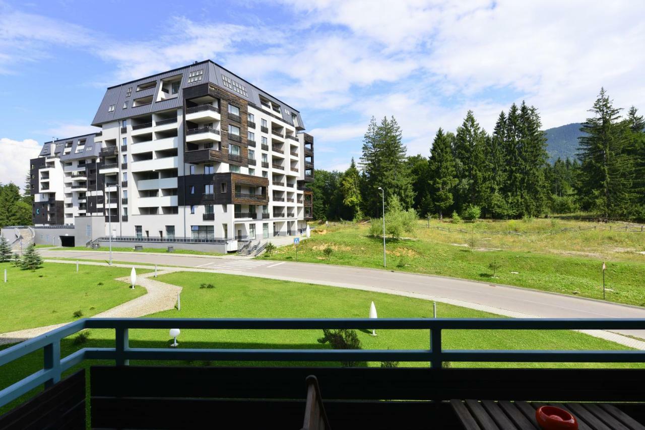 Luxury Mountain Apartment 포이아나브라소프 외부 사진